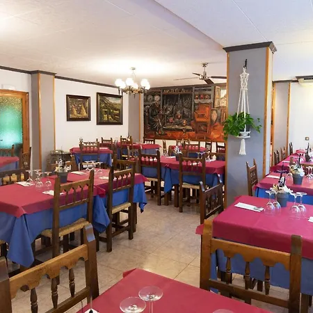 Hotel Cinca *